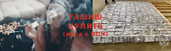 прущие грибы Волосово