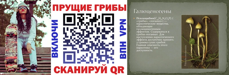Псилоцибиновые грибы Magic Shrooms  Назарово 